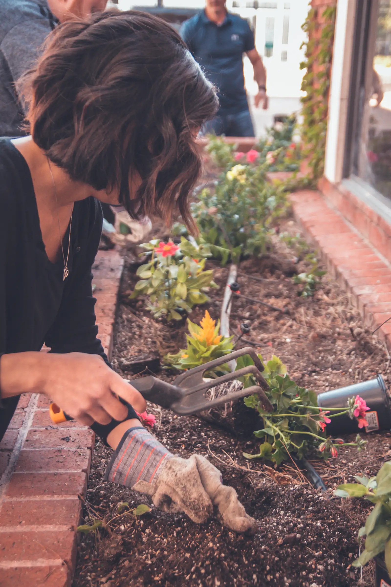 Hannah planting a new border by the back door of a client's house